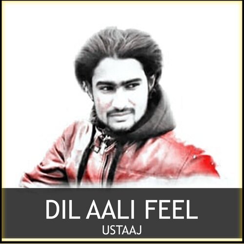 Dil Aali Feel Ustaaj MP3 Download