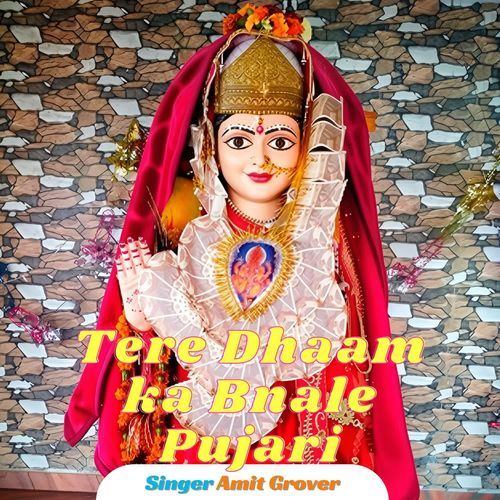 Tere Dhaam ka banale pujari Amit Grover MP3 Download