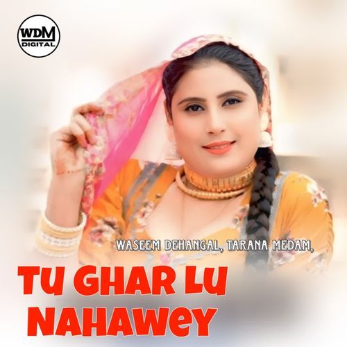 Tu Ghar Lu Nahawey Tarana Medam MP3 Download
