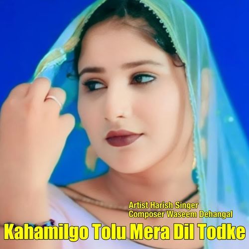 Kahamilgo Tolu Mera Dil Todke Harish Singer MP3 Download