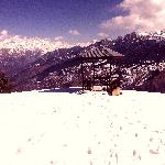 Swapnil Songs MP3 Download