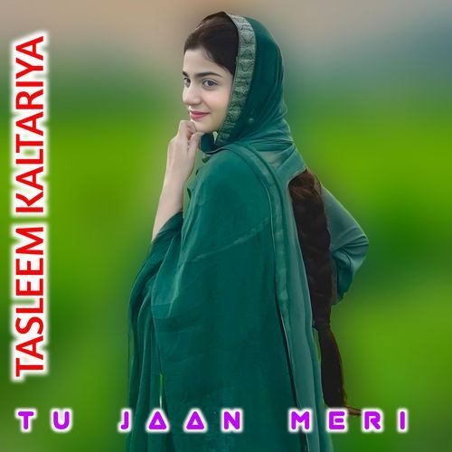 Tu Jaan Meri TASLEEM KALTARIYA MP3 Download