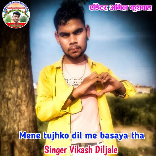Mene tujhko dil me basaya tha Vikash Diljale MP3 Download
