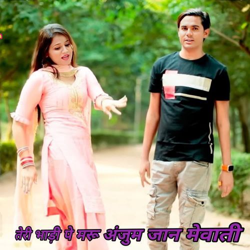 तेरी भाड़ी पे मरू अंजुम जान मेवाती Saniya Mewati MP3 Download