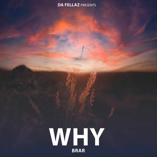 Why Brar MP3 Download