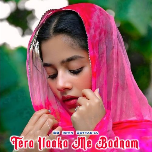Tera Ilaaka Me Badnam SB Irfan Gothadiya MP3 Download