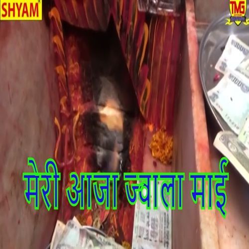 Meri Aaja Jwala Mai Sanju Hasanpuriya MP3 Download