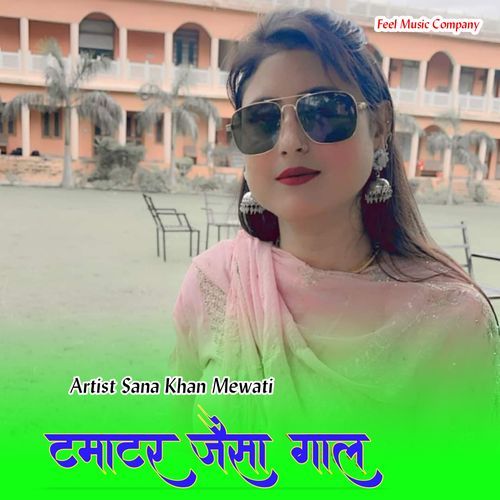 टमाटर जैसा गाल Sana Khan Mewati MP3 Download