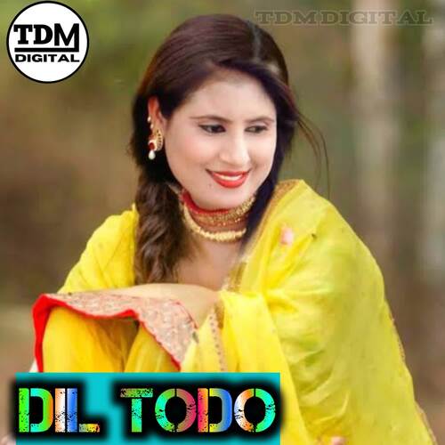 Dil Todo Aamir Pahat MP3 Download