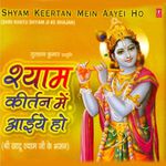 Shyam Keertan Mein Aaiye Ho – Shri Narendra Kaushik