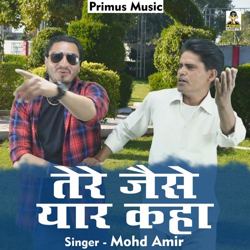 Tere Jaisa Yaar Kaha (Haryanavi) Mohd Amir MP3 Download