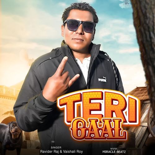 Teri Gaal Vaishali Roy MP3 Download