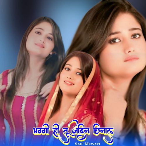 भग्गी ही तू जादिन छिनाल Saif Mewati MP3 Download