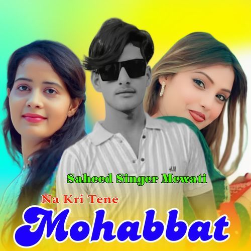 Na Kri Tene Mohabbat Saheed Singer Mewati MP3 Download