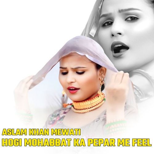Hogi Mohabbat Ka Pepar Me Feel Aslam Khan Mewati MP3 Download