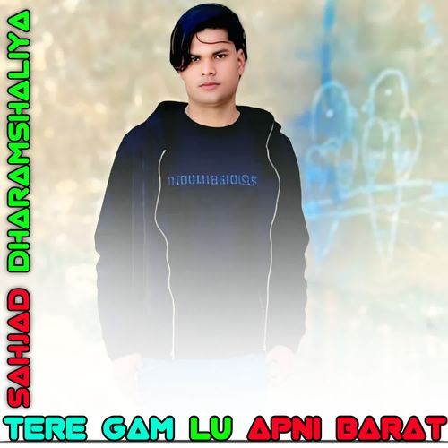 TERE GAM LU APNI BARAT Sahjad Dharamshaliya MP3 Download