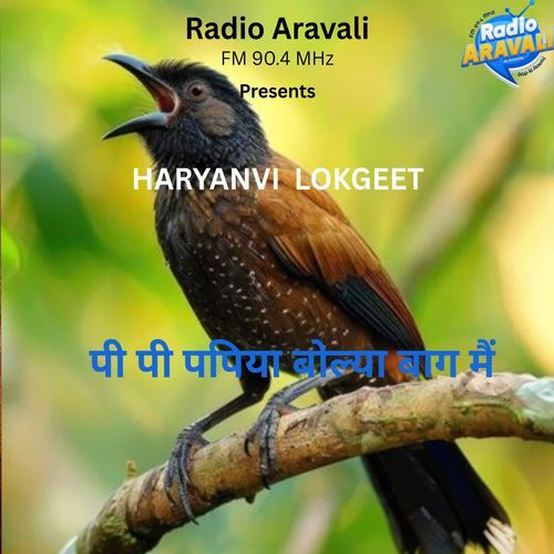 Pee pee papiya bolya baag me Santosh Bahar MP3 Download