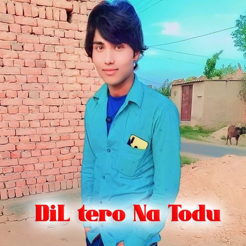 Dil Tero Na Todu Sameer Khan MP3 Download