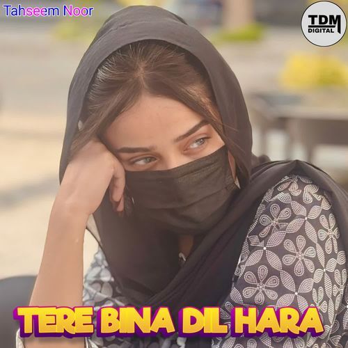 TERE BINA DIL HARA Tahseem noor MP3 Download