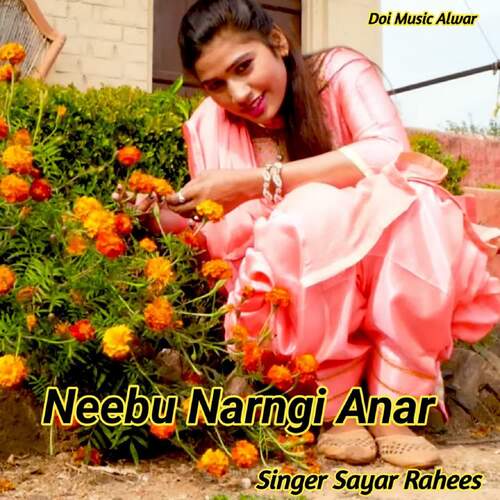 Neebu Narngi Anar Sayar Rahees MP3 Download