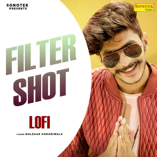 Filter Shot Lofi Gulzaar Chhaniwala MP3 Download