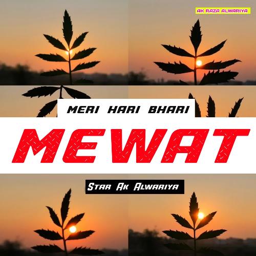 Meri Hari Bhari Mewat Star Ak Alwariya MP3 Download