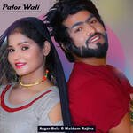 Palor Wali Album Download