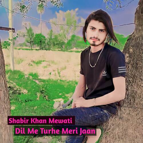 Dil Me Turhe Meri Jaan Shabir Khan Mewati MP3 Download