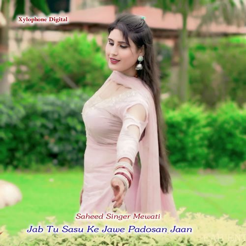 Jab Tu Sasu Ke Jawe Padosan Jaan Saheed Singer Mewati MP3 Download
