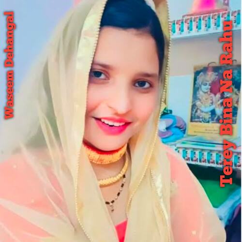Terey Bina Na Rahu Tarana Medam MP3 Download