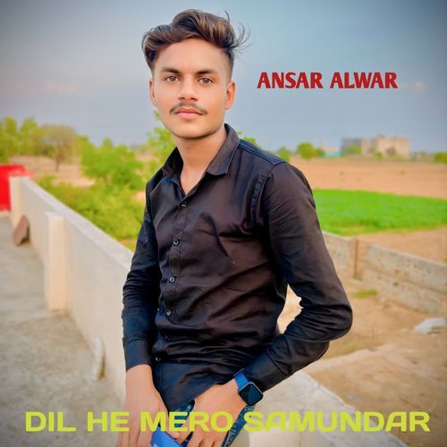 DIL HE MERO SAMUNDAR Ansar alwar MP3 Download