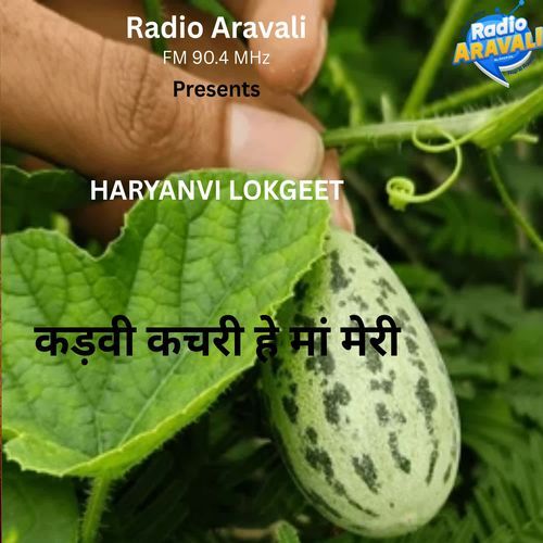 Kadvi kachri he ma meri Santosh Bahar MP3 Download