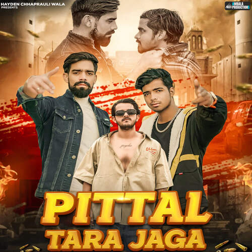 Pittal Tara Jaga Hayden Chhaprauli Wala MP3 Download