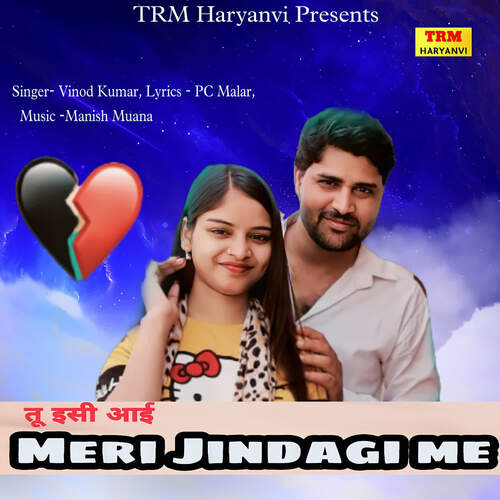 Tu Isi Aai Meri Jindagi Me Vinod Kumar MP3 Download