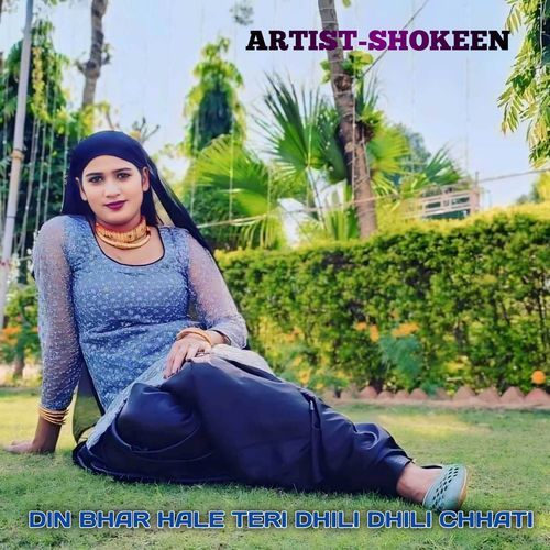 DIN BHAR HALE TERI DHILI DHILI CHHATI Shokeen MP3 Download
