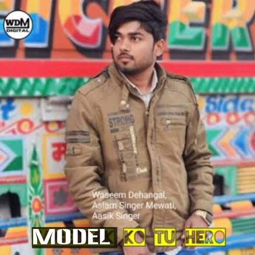 Model Ko Tu Hero Aslam Singer Mewati MP3 Download