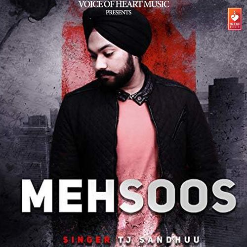 Mehsoos T J SANDHUU MP3 Download