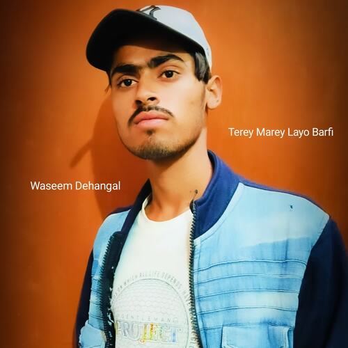Terey Marey Layo Barfi Tasleem Dehangal MP3 Download