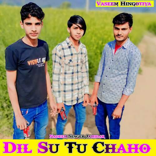 Dil Su Tu Chaho Nadeem Singer Jamidar MP3 Download