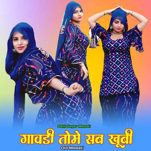गावड़ी तोमे सब खूबी Sahil Sayer Mewati MP3 Download