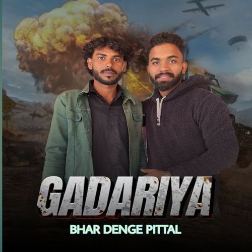 Gadariya bhar denge pittal Singer vinod gadariya MP3 Download