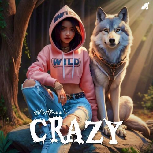 Crazy ANSHBuzz MP3 Download