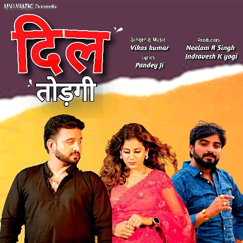 Dil Todgi Vikas Kumar MP3 Download