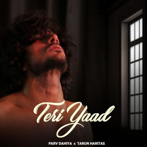 Teri Yaad Parv Dahiya MP3 Download