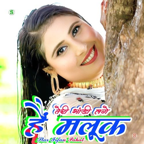 तेरी भांडी लगे हैं मलूक Aslam Singer Mewati MP3 Download