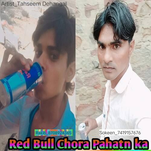 Red Bull Chora Pahatn ka Rahul Singer Mewati MP3 Download
