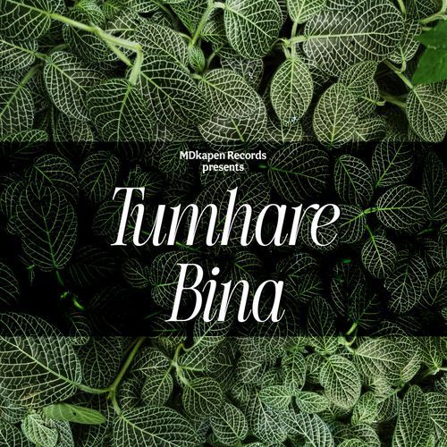 Tumhare Bina Mantu Kunal MP3 Download