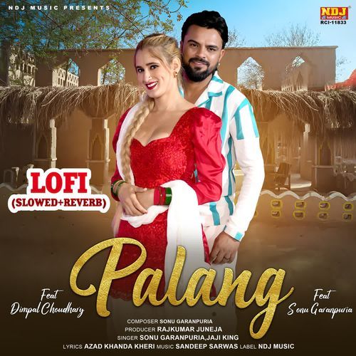 Palang Lofi (Slowed + Reverb) Jaji King MP3 Download