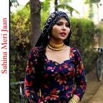 Sahina Meri Jaan - Sahin Chanchal Mewati Song Download