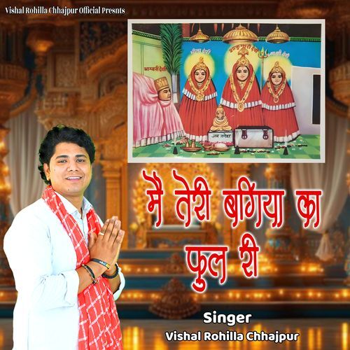 MAIN TERI BAGIYA KA FOOL RI Vishal Rohilla Chhajpur MP3 Download